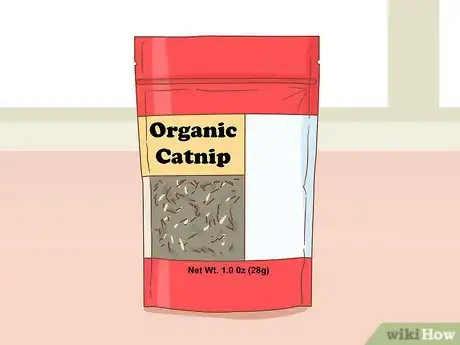 Imagen titulada Give Catnip to Your Cat Step 1