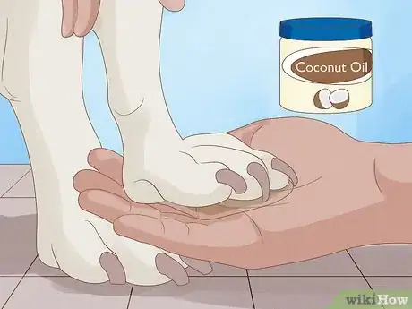 Imagen titulada Stop a Dog from Licking Its Paws with Home Remedies Step 5