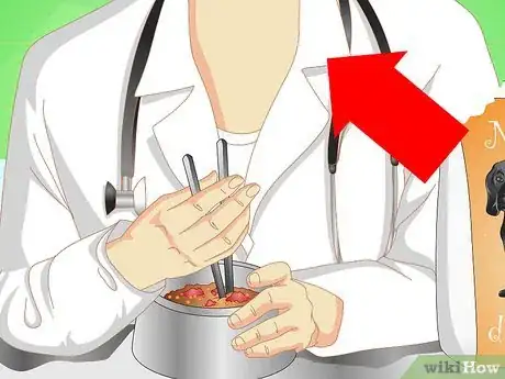 Imagen titulada Get Your Dog to Eat the Dog Food It Does Not Like Step 11