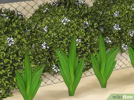 Imagen titulada Hide a Fence Step 10