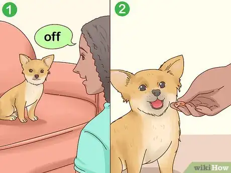 Imagen titulada Keep Pets off the Furniture Step 14