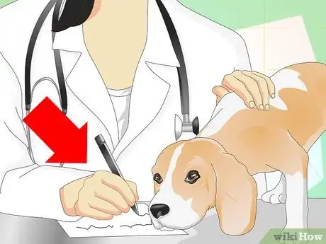 Imagen titulada Add Fiber to a Dog's Diet Step 7