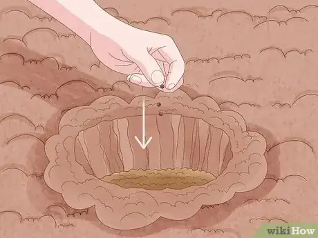 Imagen titulada Grow Monkey Grass from Seed Step 10