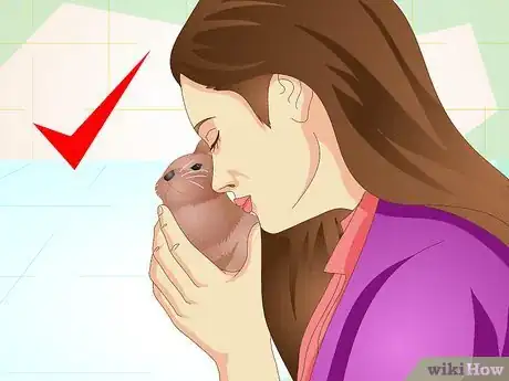 Imagen titulada Make Your Bunny Come to You when You Open the Cage Step 10