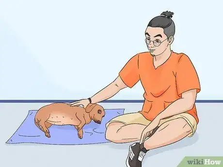 Imagen titulada Care for Newborn Puppies Step 13