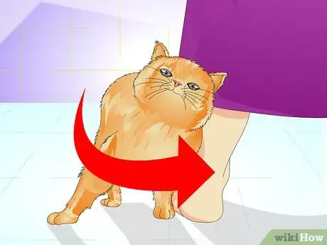 Imagen titulada Tell if a Cat Is Spayed Step 7