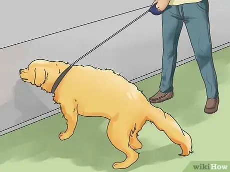 Imagen titulada Introduce a New Dog to Your House and Other Dogs Step 23