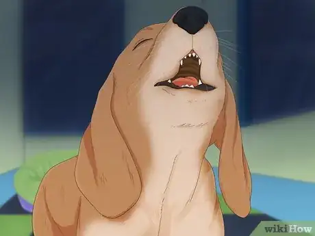 Imagen titulada Make Your Dog Stop Sleeping in Your Bed Step 9
