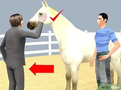 Imagen titulada Look After a Horse Step 12