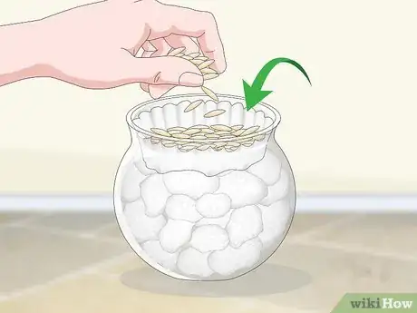 Imagen titulada Make a Grass Pot for Cats Step 7