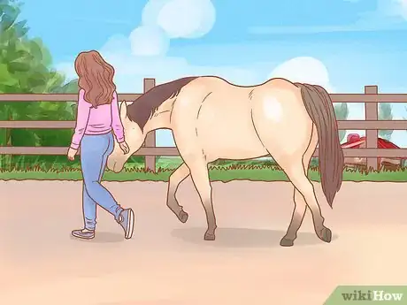 Imagen titulada Join Up With a Horse Step 16