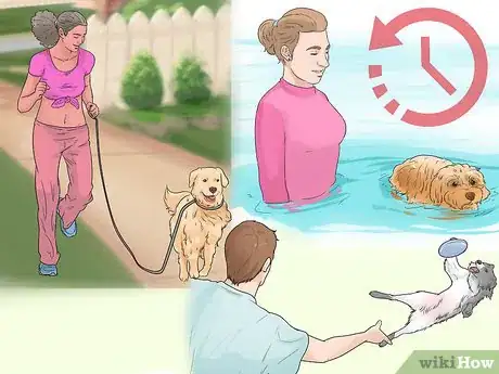 Imagen titulada Exercise a Mother Dog Step 12
