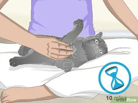 Imagen titulada Help a Vomiting Cat Step 7