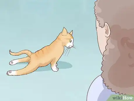 Imagen titulada Deal with a Paralyzed Cat Step 12
