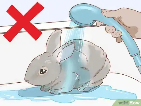 Imagen titulada Raise Rabbits Step 14