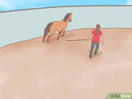 Imagen titulada Join Up With a Horse Step 11