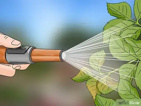 Imagen titulada Control Aphids Step 11