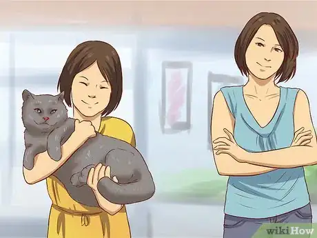 Imagen titulada Catch a Stray Cat Step 13