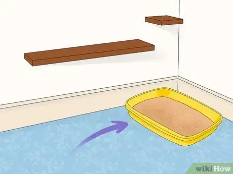 Imagen titulada Potty Train a Chihuahua Step 3