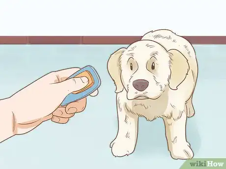 Imagen titulada Train Your Service Dog Without a Professional Trainer Step 9