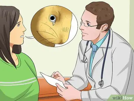 Imagen titulada Stop a Rabbit from Sneezing Step 5