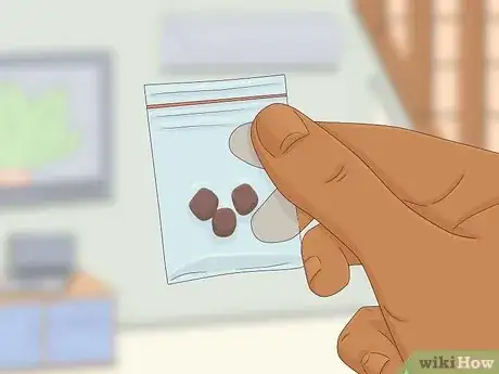 Imagen titulada Treat Diarrhea in Rabbits Step 3