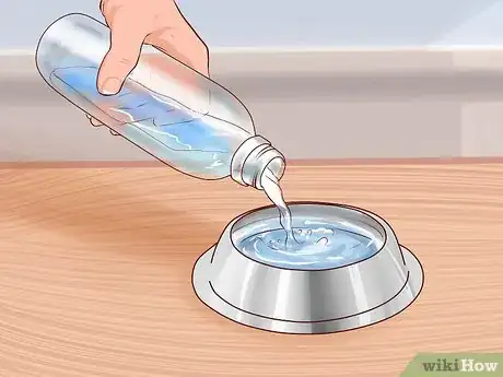 Imagen titulada Care for a Toy Poodle Step 4