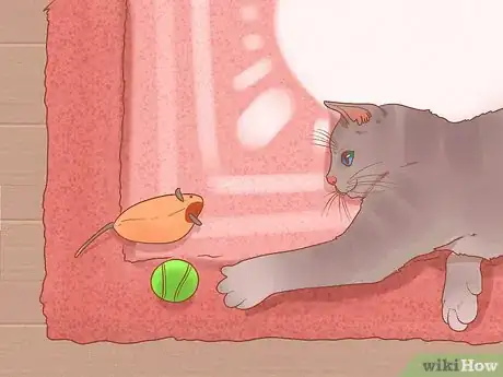 Imagen titulada Prevent Cats from Eating Plants Step 11