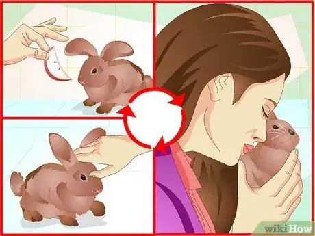 Imagen titulada Make Your Bunny Come to You when You Open the Cage Step 12