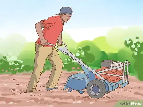 Imagen titulada Grow a Clover Lawn Step 6