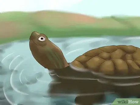Imagen titulada Make a Turtle Trap Step 12