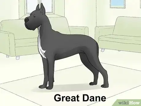 Imagen titulada Identify a Mastiff Step 21