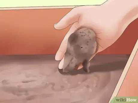 Imagen titulada Make a Turtle Trap Step 11