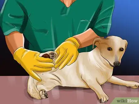 Imagen titulada File Puppy Nails Step 8