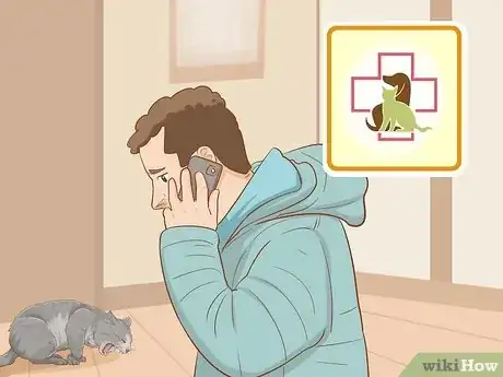 Imagen titulada Save a Choking Cat Step 6