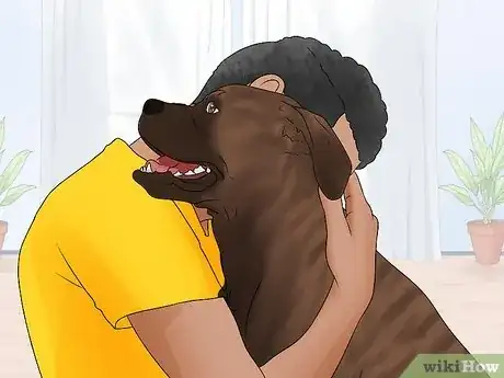 Imagen titulada Identify a Mastiff Step 10
