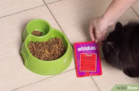 Imagen titulada Test Your Cat's Intelligence Step 3