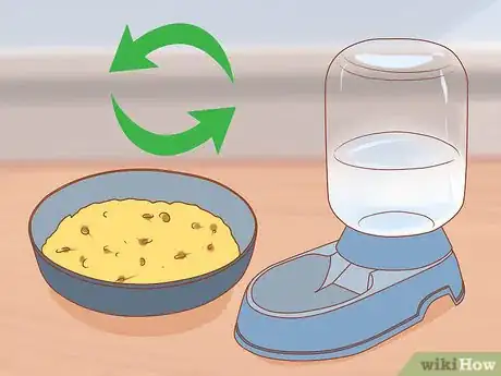 Imagen titulada Catch and Look After Wild Mice Step 12