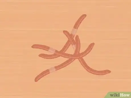 Imagen titulada Eat Worms Step 1
