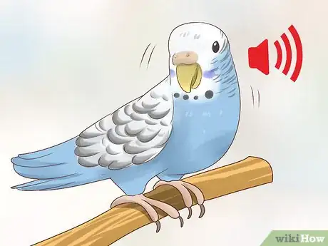 Imagen titulada Know if a Parakeet Is Right for You Step 3
