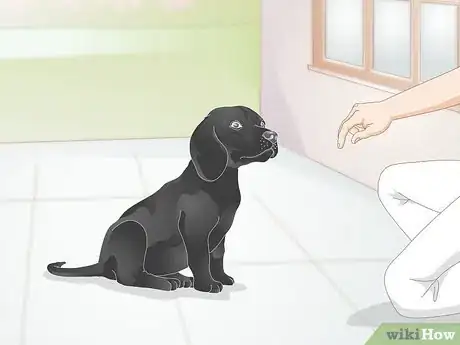 Imagen titulada Create a Feeding Routine for Your Dog Step 4
