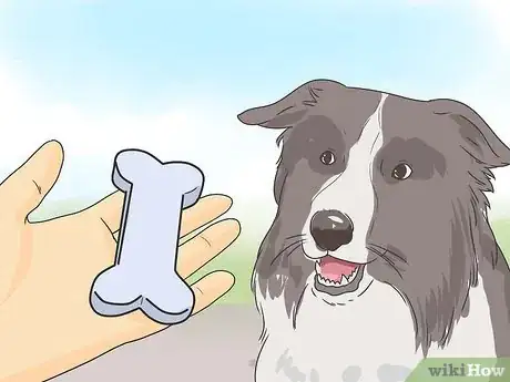 Imagen titulada Introduce a New Dog to Your House and Other Dogs Step 29