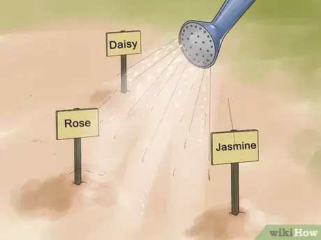 Imagen titulada Grow Flowers from Seed Step 12