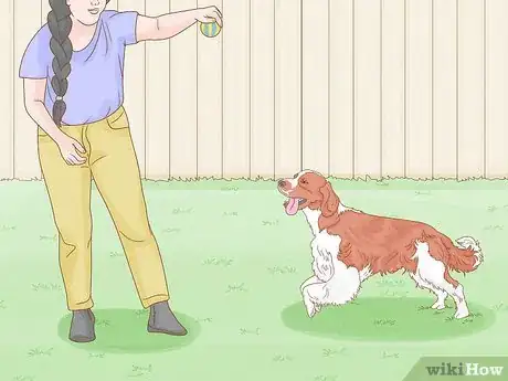 Imagen titulada Stop a Dog from Humping Step 5