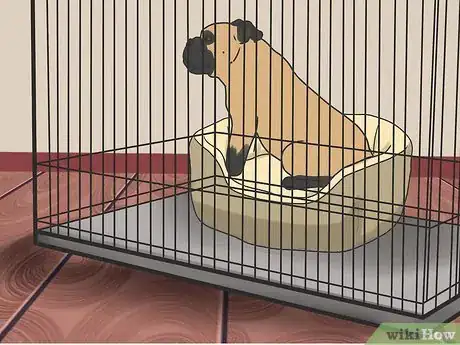 Imagen titulada Introduce a New Dog to Your House and Other Dogs Step 25