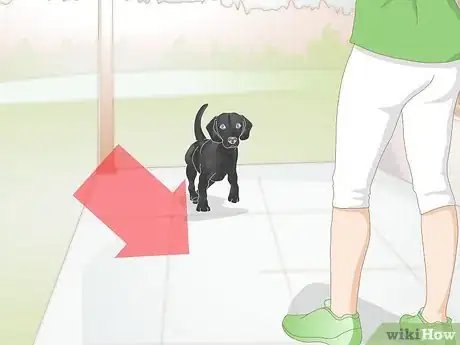 Imagen titulada Create a Feeding Routine for Your Dog Step 1