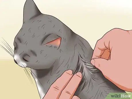 Imagen titulada Clean Your Cat When He Can't Do It Himself Step 7