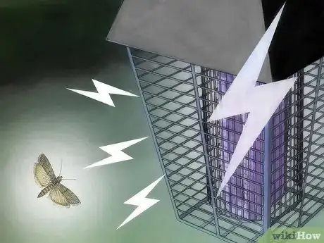 Imagen titulada Catch a Moth Step 15