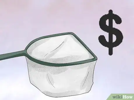 Imagen titulada Find a Snail Step 10