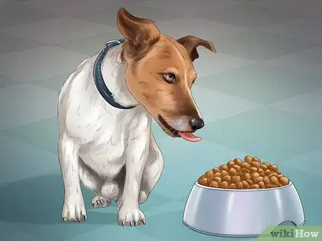 Imagen titulada Help Your Dog After Giving Birth Step 14